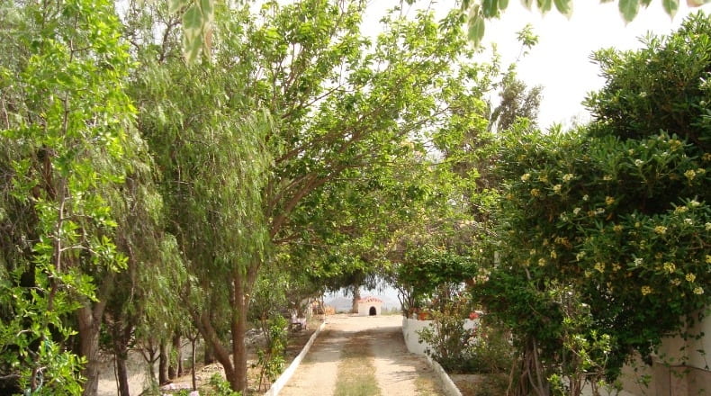 Murcia - Águilas - 7000m2