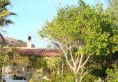 Chalet independiente con terreno en venta en la Polígono Industrial El Labradorcico, Águilas, ref: TR104782 foto