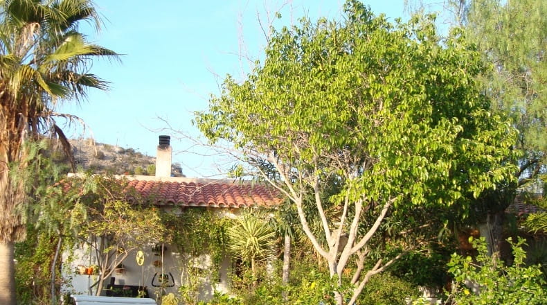 Murcia - Águilas - 7000m2