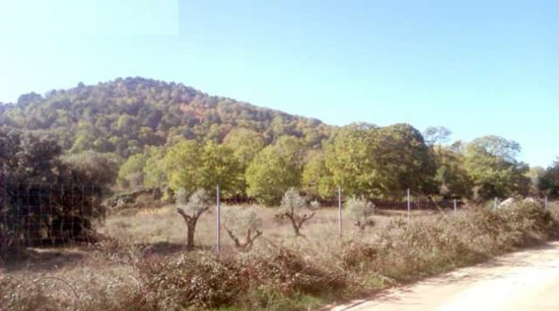 Comunidad de Madrid - Cadalso de los Vidrios - 16000m2