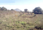 Terreno con Ruinas en venta en la M-507, Cadalso de los Vidrios, ref: TR104779 foto