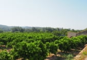Terreny amb magatzem en venda a la C-12, Tortosa, ref.: TR104847 foto