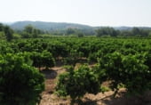 Terreny amb magatzem en venda a la C-12, Tortosa, ref.: TR104847 foto