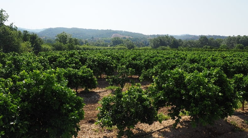 Tarragona - Tortosa - 41500m2