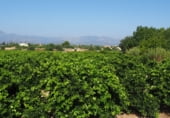 Terreny amb magatzem en venda a la C-12, Tortosa, ref.: TR104847 foto