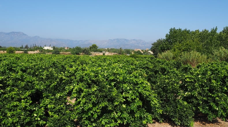 Tarragona - Tortosa - 41500m2