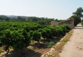 Terreny amb magatzem en venda a la C-12, Tortosa, ref.: TR104847 foto