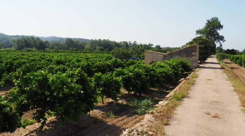 Tarragona - Tortosa - 41500m2