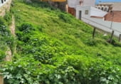 Land suitable for development for sale on Torres de Albanchez, Torres de Albánchez, ref: TR104866 photo