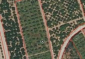 Non-developable land for sale on Camí vell de Pego, Oliva, ref: TR104903 photo