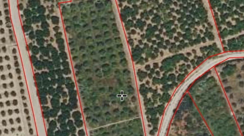 Valencia - Oliva - 5600m2