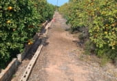 Non-developable land for sale on Camí vell de Pego, Oliva, ref: TR104903 photo