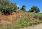 Terreny no urbanitzable en venda a la Camino de los Pescadores, Mijas, ref.: TR104902 foto