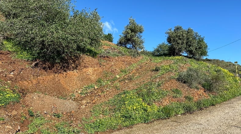 Málaga - Mijas - 2700m2