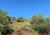Terreny no urbanitzable en venda a la Camino de los Pescadores, Mijas, ref.: TR104902 foto