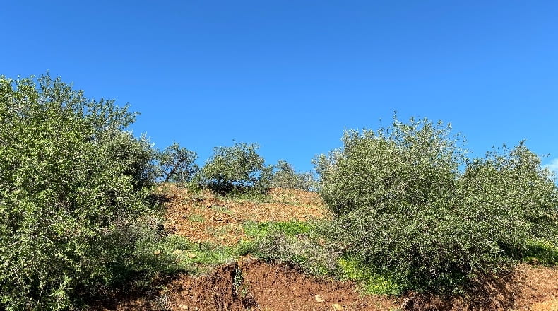 Málaga - Mijas - 2700m2