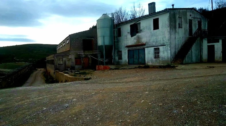 Castellón - Salsadella - 2000000m2