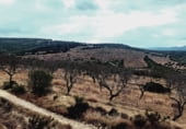 Non-developable land for sale on Mas de l'Andalús de Baix, la Salzadella, ref: TR104204 photo