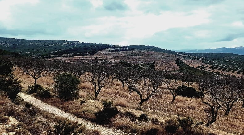 Castellón - Salsadella - 2000000m2