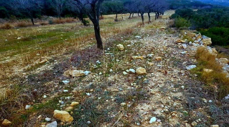 Castellón - Salsadella - 2000000m2
