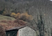 Stone house with land for sale on Faedo, ref: TR104977 photo