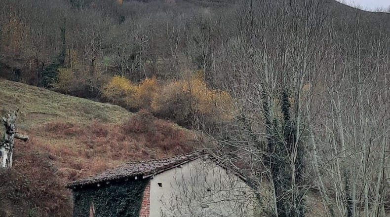 Asturias - Faedo - 18855m2