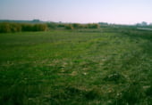 Country house with land for sale on A-484, Rociana del Condado, ref: TR104981 photo