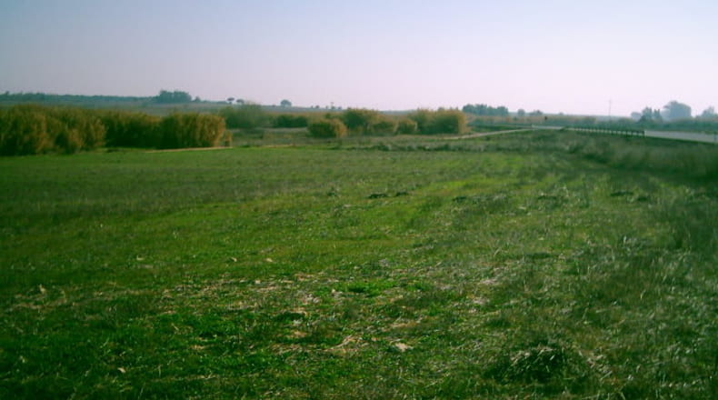 Huelva - Rociana del Condado - 30000m2