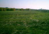 Country house with land for sale on A-484, Rociana del Condado, ref: TR104981 photo