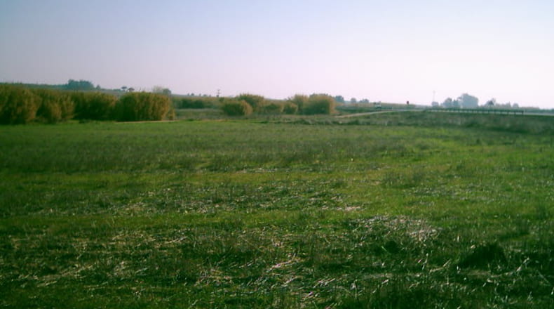 Huelva - Rociana del Condado - 30000m2