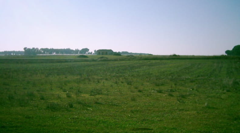 Huelva - Rociana del Condado - 30000m2