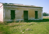 Country house with land for sale on A-484, Rociana del Condado, ref: TR104981 photo