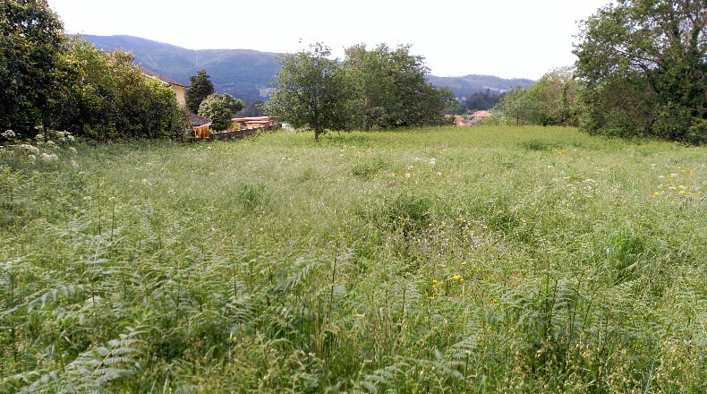 Pontevedra - A Cendona - 2028m2