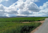 Non-developable land for sale on Fuencaliente, ref: TR104985 photo