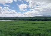 Non-developable land for sale on Fuencaliente, ref: TR104985 photo