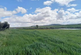 Fuencaliente 22393&nbsp;m² 