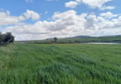 Non-developable land for sale on Fuencaliente, ref: TR104985 photo