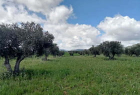 Fuencaliente 22393&nbsp;m² 