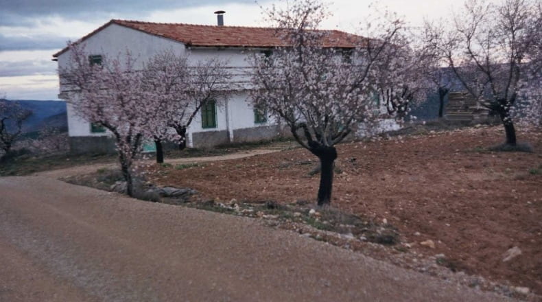 Valencia - Ademuz - 161460m2