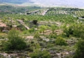 Rural estate for sale on Camino de Torrealta, Ademuz, ref: TR104988 photo