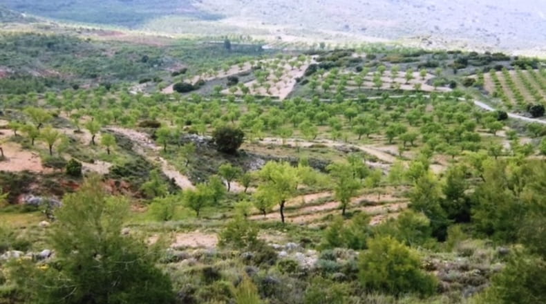 Valencia - Ademuz - 161460m2