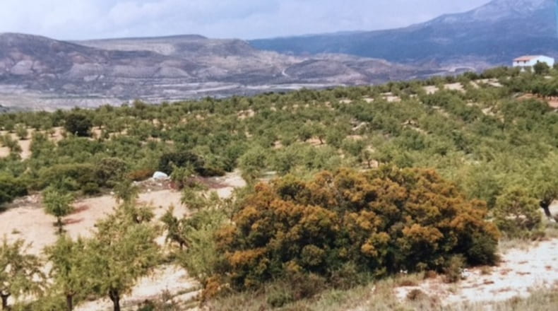 Valencia - Ademuz - 161460m2