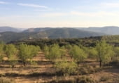 Rural estate for sale on Camino de Torrealta, Ademuz, ref: TR104988 photo