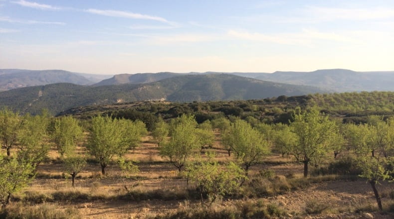 Valencia - Ademuz - 161460m2