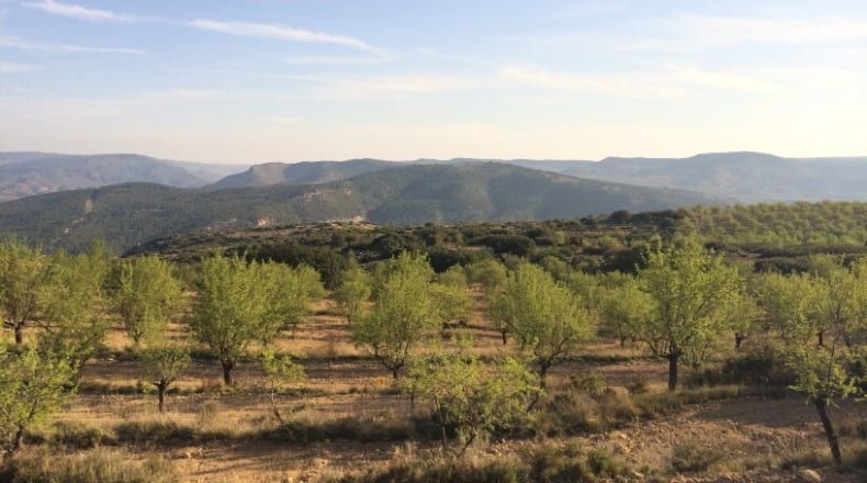 Valencia - Ademuz - 161460m2