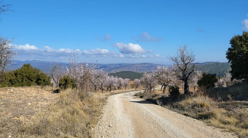 Valencia - Ademuz - 161460m2