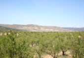 Rural estate for sale on Camino de Torrealta, Ademuz, ref: TR104988 photo