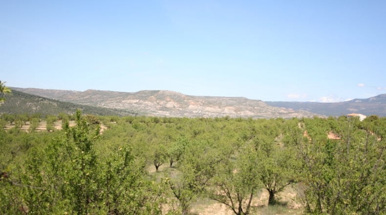 Valencia - Ademuz - 161460m2