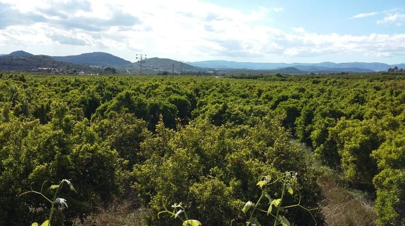 Castellón - Castellón de la Plana - 34902m2