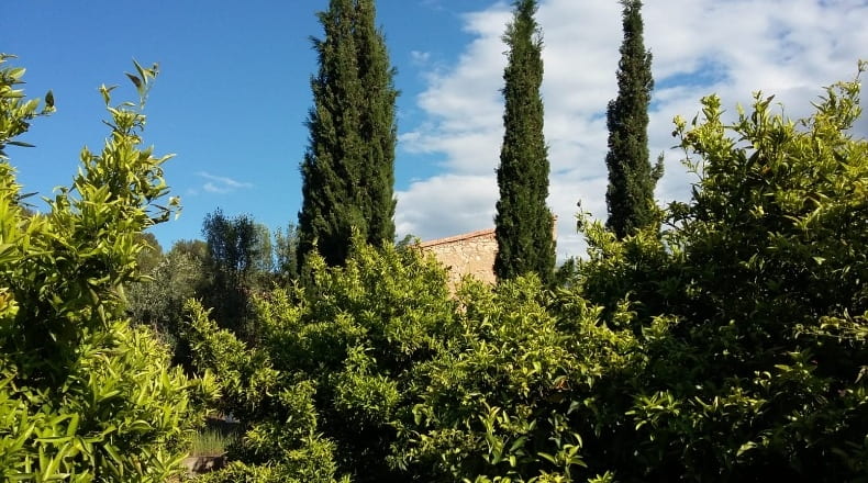 Castellón - Castellón de la Plana - 34902m2
